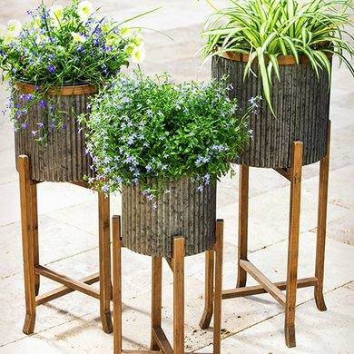 Outdoor Planters & Plant Stands