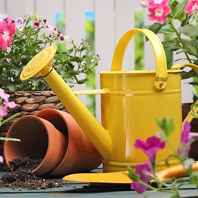 Get Your Summer Gardening On